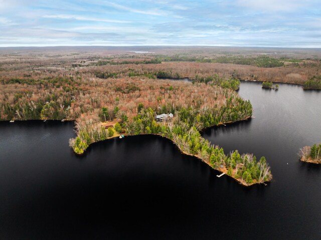 bird's eye view of a forest and a large body of water