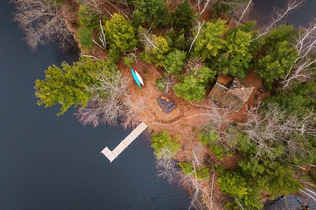 drone / aerial view of a large body of water
