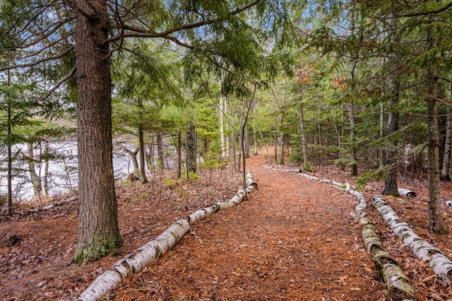 view of yard with a wooded view