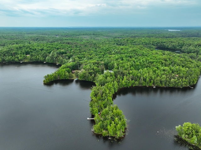 aerial view of a forest and a nearby body of water