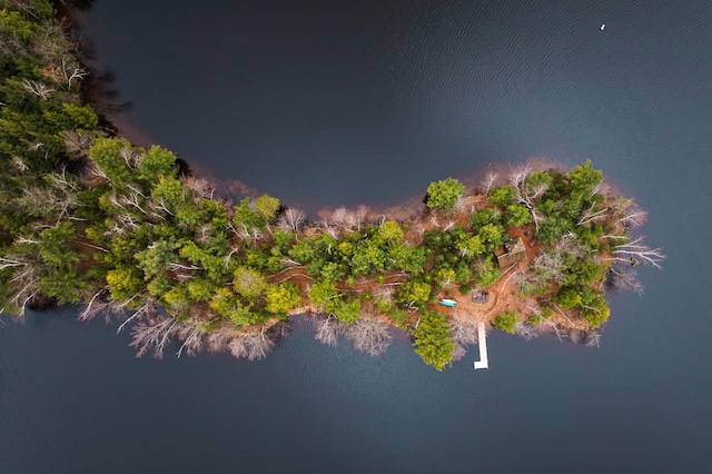 bird's eye view of a nearby body of water