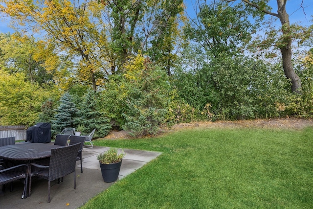 view of yard featuring outdoor dining area and a patio