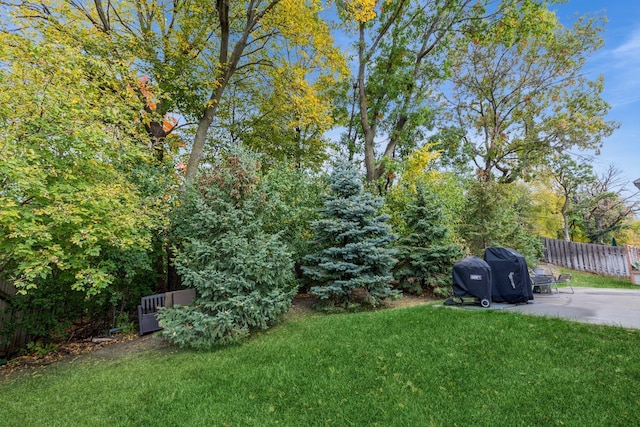 view of yard with a patio and fence