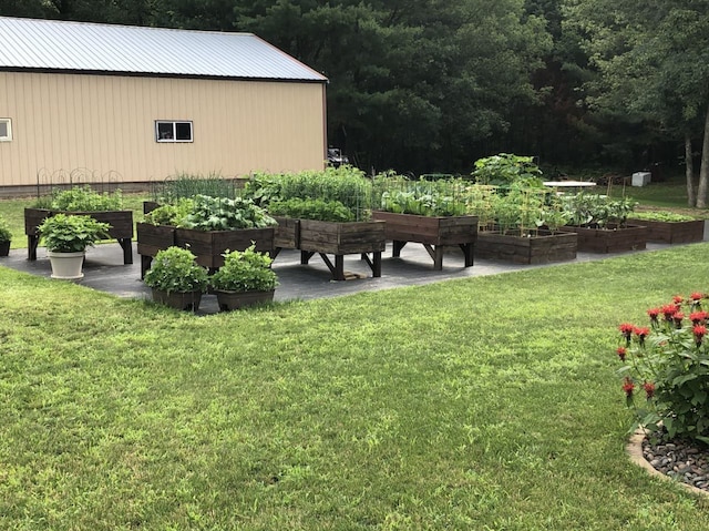 view of yard with a vegetable garden