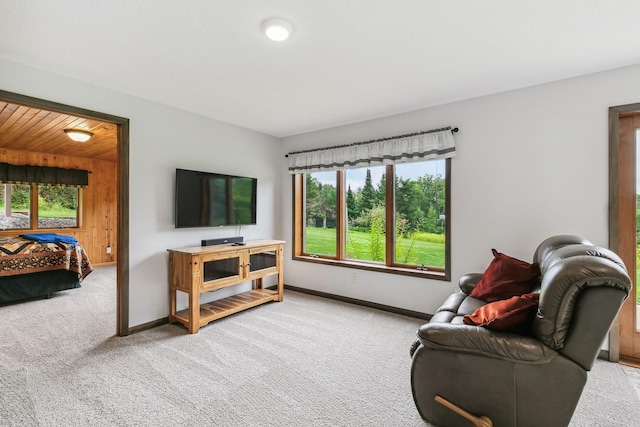 living room with baseboards, carpet floors, and wooden walls