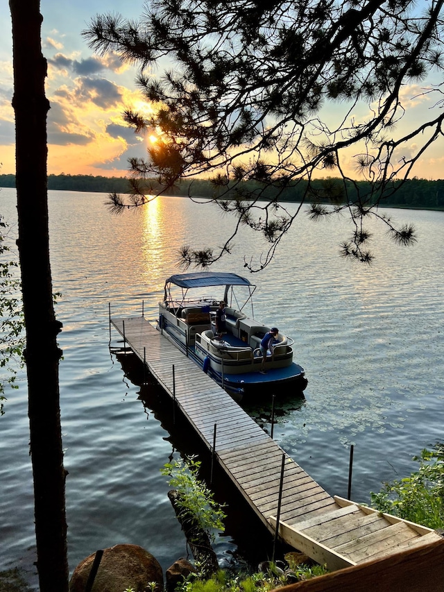 dock with a water view