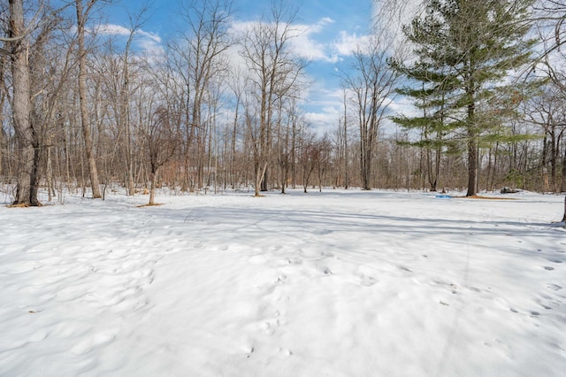 view of yard layered in snow