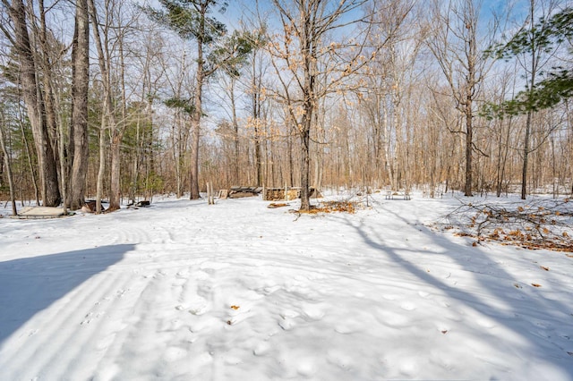 yard covered in snow featuring a wooded view