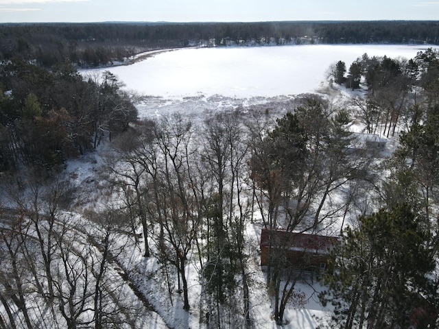 snowy aerial view featuring a view of trees