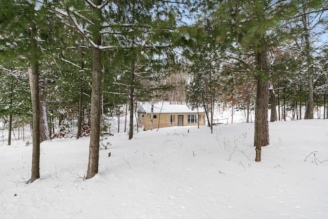 view of yard covered in snow