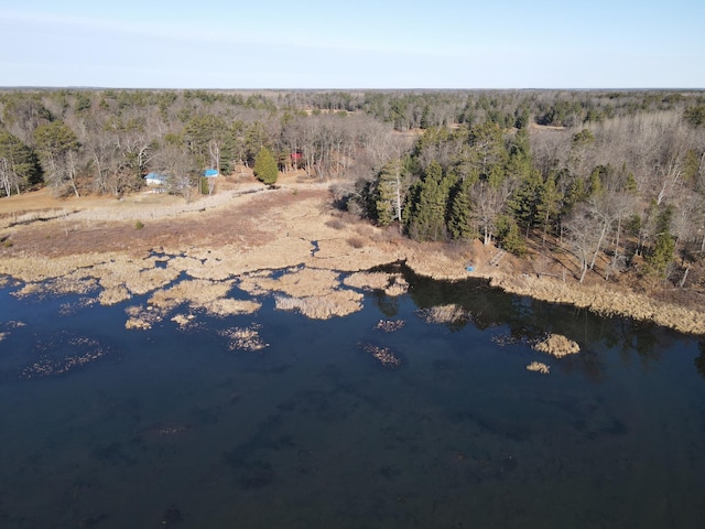 drone / aerial view with a wooded view and a water view