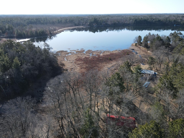 aerial view featuring a water view and a view of trees