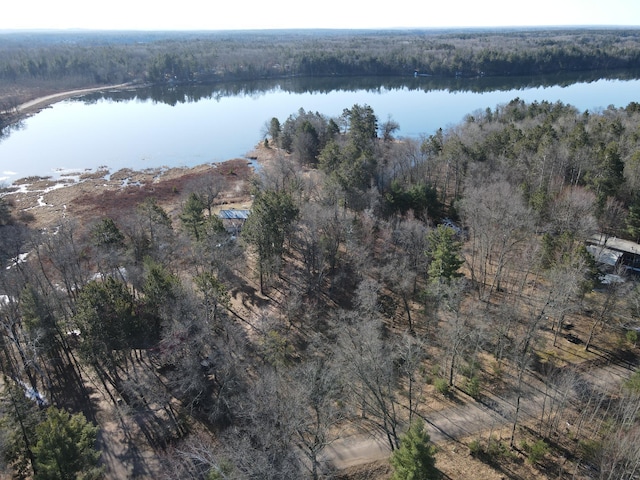 bird's eye view featuring a water view and a forest view