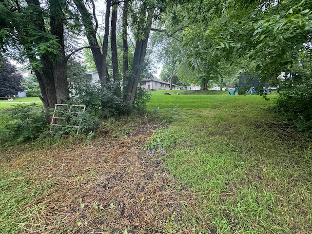 409 Orange St, Waconia, MN 55387 - photo 5