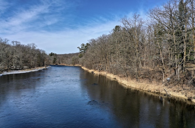 water view featuring a wooded view