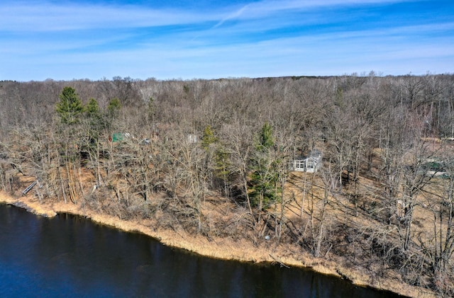 bird's eye view with a wooded view and a water view