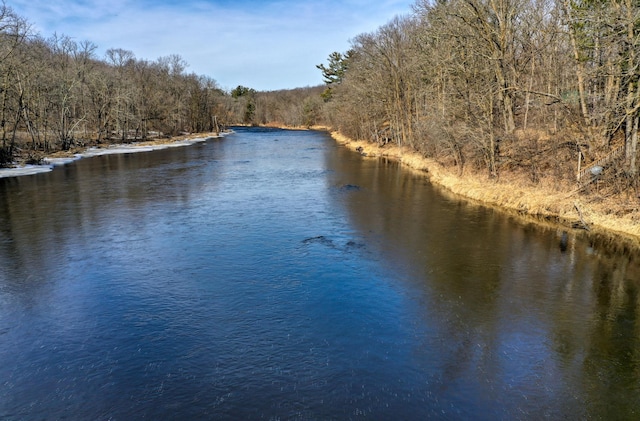 water view featuring a forest view