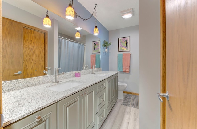 full bath featuring toilet, double vanity, a sink, and wood finished floors