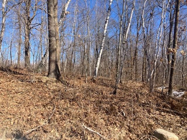 TBD Sherwood Dr SW, Motley MN, 56466 land for sale