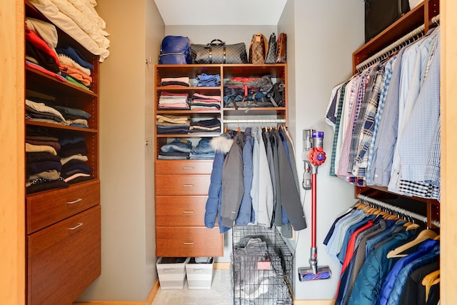 view of spacious closet