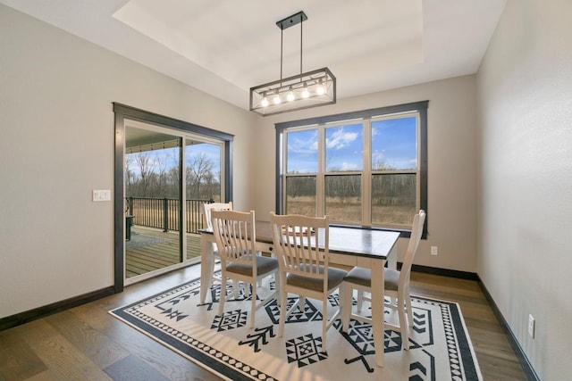 dining area with a tray ceiling, wood finished floors, and baseboards