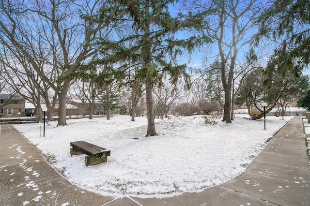 view of yard covered in snow