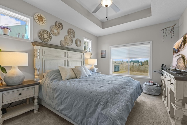 bedroom with carpet floors, multiple windows, a raised ceiling, and a ceiling fan