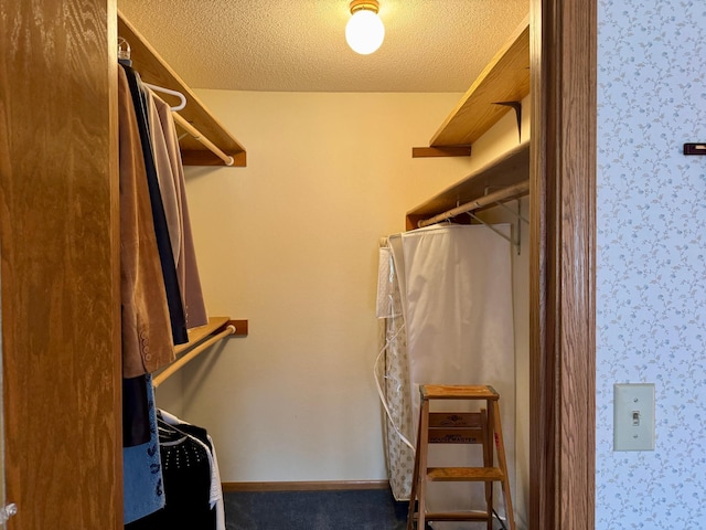 walk in closet featuring carpet flooring