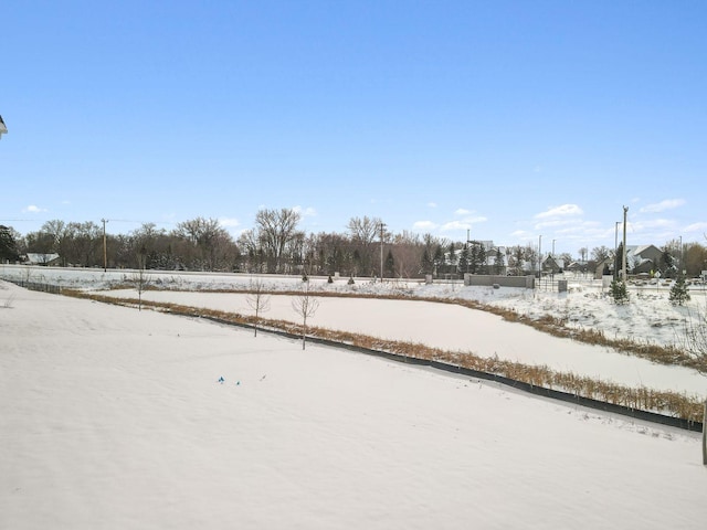 view of snowy yard