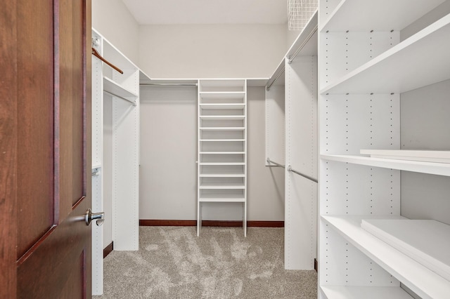 walk in closet featuring carpet flooring