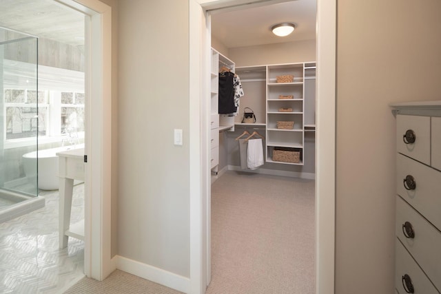 walk in closet with carpet