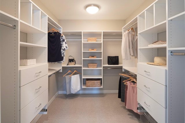walk in closet with light colored carpet
