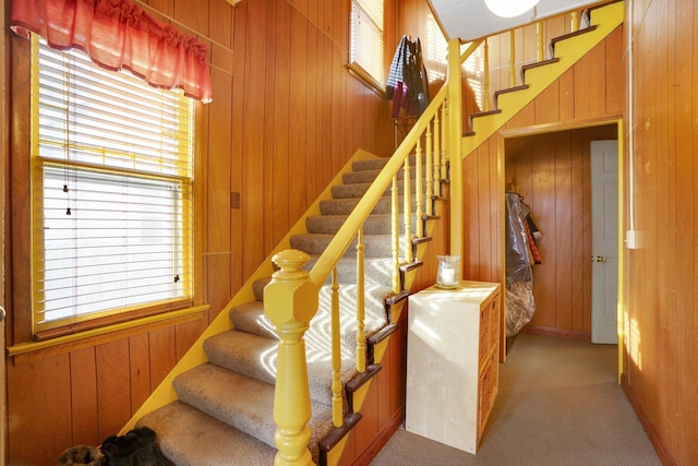 stairway with carpet floors and wooden walls