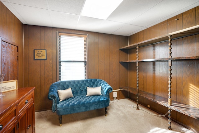 living area featuring wooden walls and carpet flooring