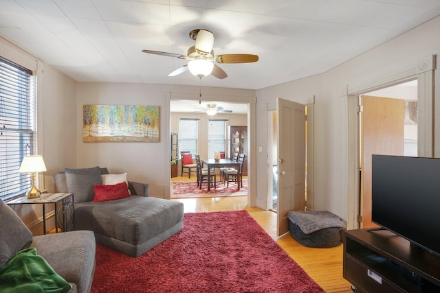 living area with a ceiling fan and light wood-style floors