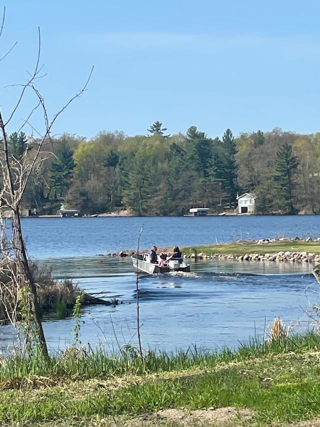 water view with a view of trees