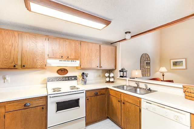 kitchen featuring white appliances, light countertops, under cabinet range hood, and a sink