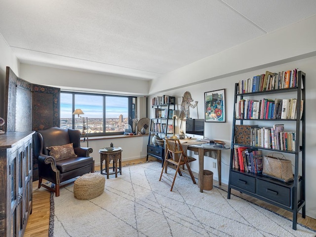 office featuring wood finished floors and baseboards