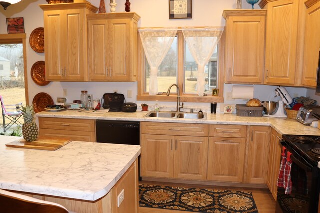 kitchen featuring black appliances and a sink