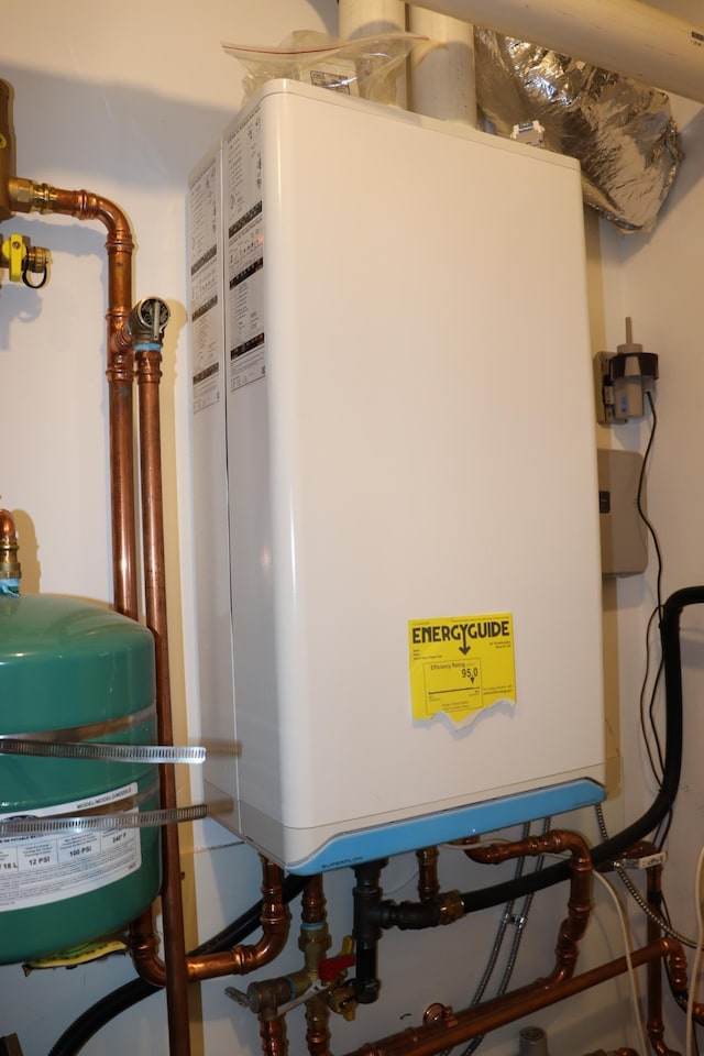 218 Thomas Dr, Rollingstone, MN 55969 - utility room with tankless water heater