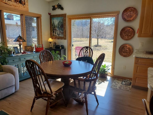 218 Thomas Dr, Rollingstone, MN 55969 - dining area featuring light wood-style flooring and baseboards