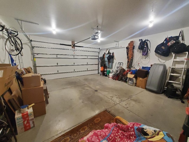 218 Thomas Dr, Rollingstone, MN 55969 - garage featuring a garage door opener