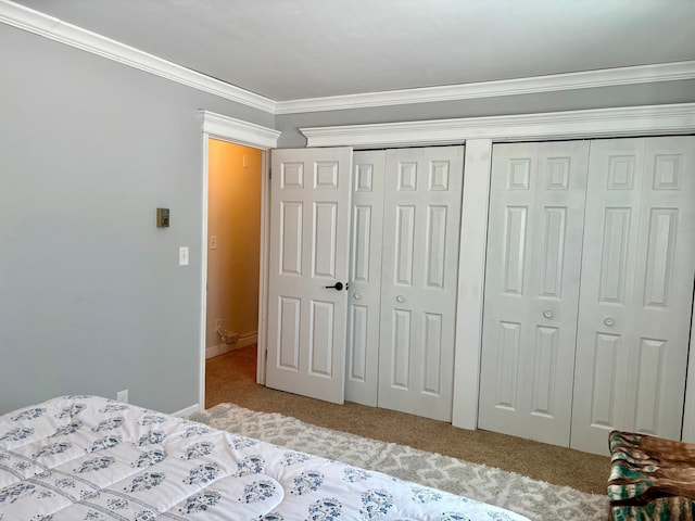 bedroom with ornamental molding, carpet, and a closet