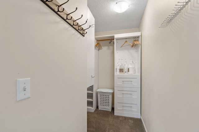 walk in closet featuring carpet floors