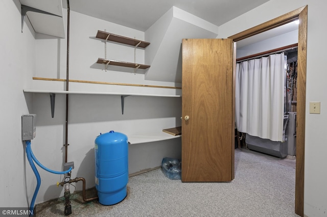 interior space featuring carpet floors