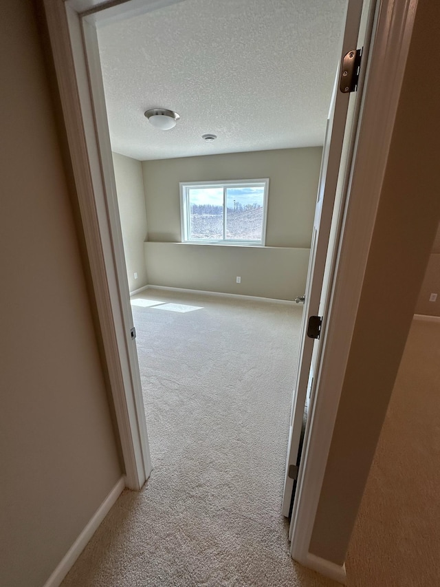 14403 107th Pl N, Maple Grove, MN 55369 - corridor featuring light colored carpet, a textured ceiling, and baseboards