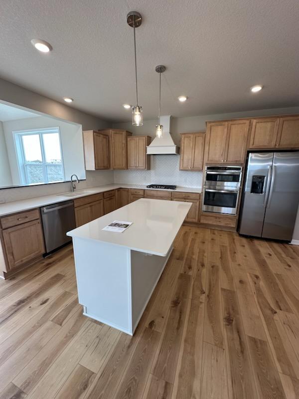 14403 107th Pl N, Maple Grove, MN 55369 - kitchen featuring a sink, light wood-style flooring, light countertops, premium range hood, and appliances with stainless steel finishes