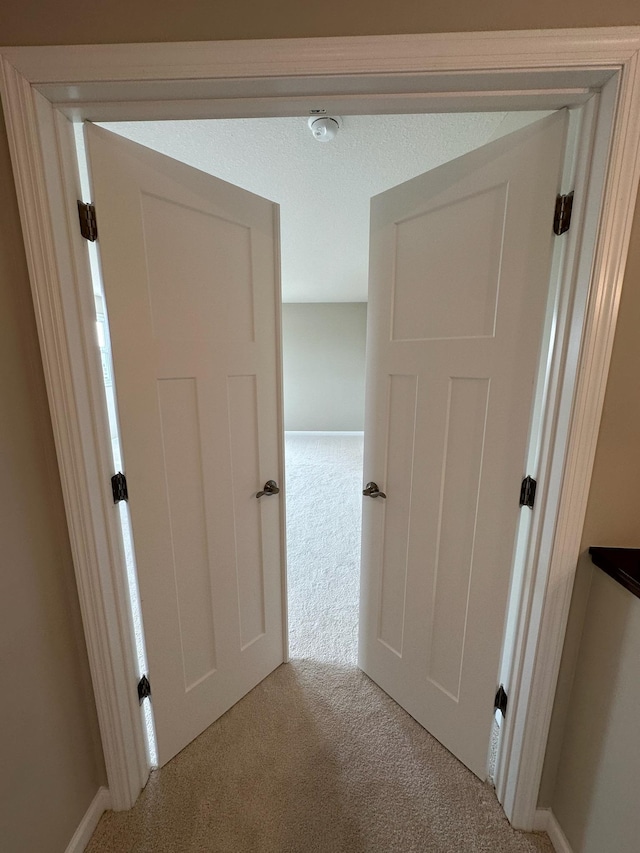 14403 107th Pl N, Maple Grove, MN 55369 - hall with carpet flooring