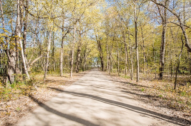 view of road with a wooded view