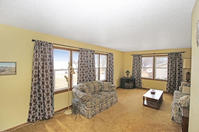 living room featuring a textured ceiling and carpet flooring